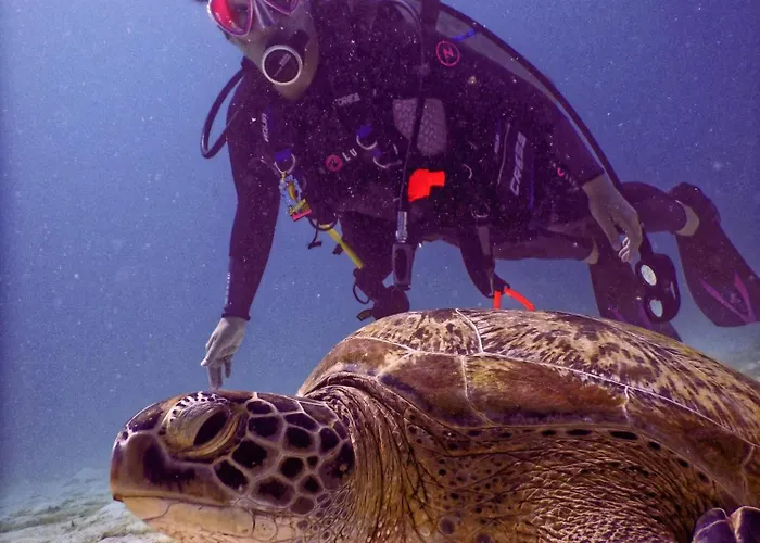 La Perla House Сasa de vacaciones *