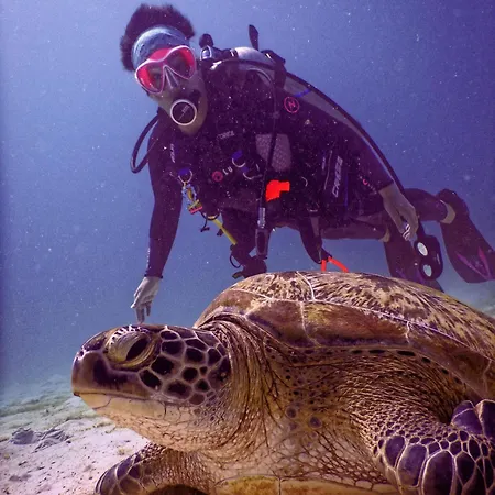 La Perla House Prázdninový dům *